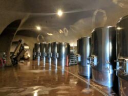 WINE AFFILIATES