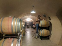 Master Wine Tours