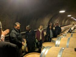WINE AFFILIATES