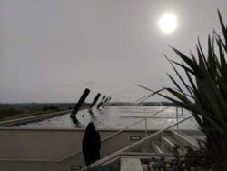 The sun cuts the thickness of evening. Carneros District, Napa Valley.