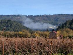 A silver lining rests on the Ehlers Estate in Napa Valley.