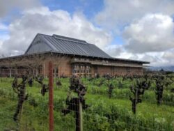 MacRostie Winery perches on the hill in the Russian River Valley.