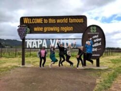 Napa Valley Tours