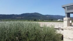 Opus One is the wine making collaboration between Robery Mondavi and Philippe Rothschild