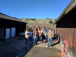Reid Family Vineyards tour of the vines and the barrel room.