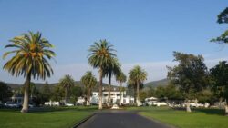 Master Wine Tours