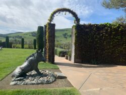 Napa valley vineyards