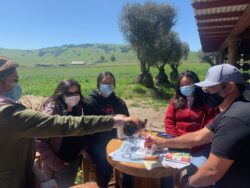NAPA VALLEY RESTAURANTS