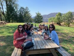 San Francisco Wine Tours