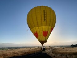 Master Wine Tours
