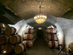 Discover Sonoma Wine