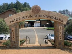Pride Mountain Vineyards